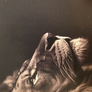 SOLDF Teddy Fresh Pink and Blue Plaid Knit Tank Top